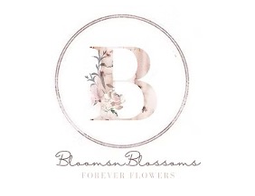 BloomsnBlossoms